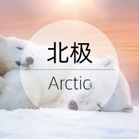 北极