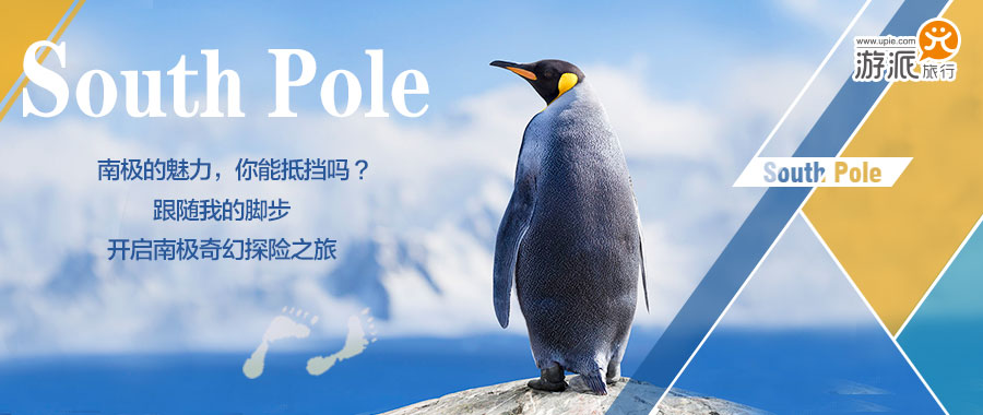 南极