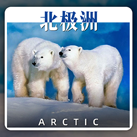 北极